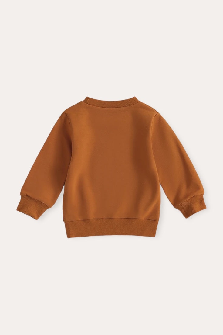 Pumpkin Sweatshirt | Orange