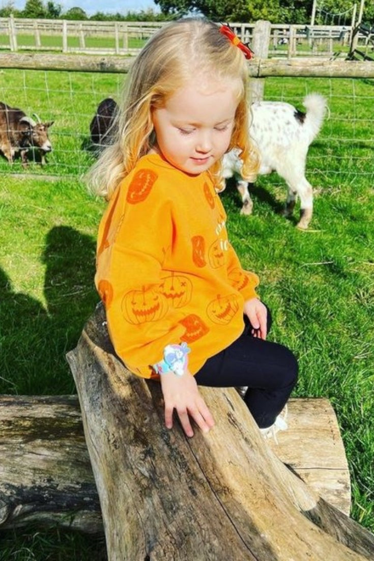 Pumpkin Picker Sweatshirt | Orange