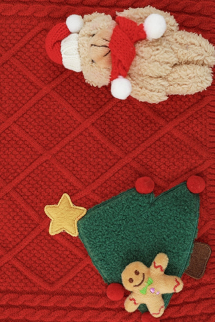 Teddy Christmas Sweater | Red