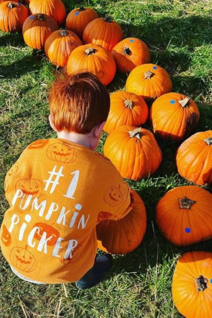 Pumpkin Picker Sweatshirt | Orange