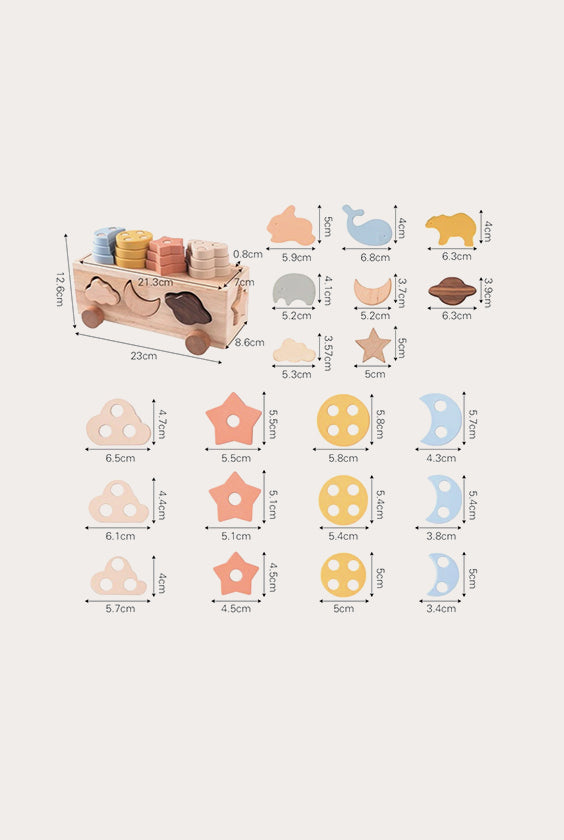 Silicone Geometric Toys Set