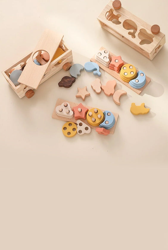 Silicone Geometric Toys Set