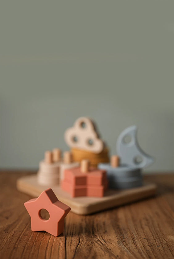 Silicone Geometric Toys Set