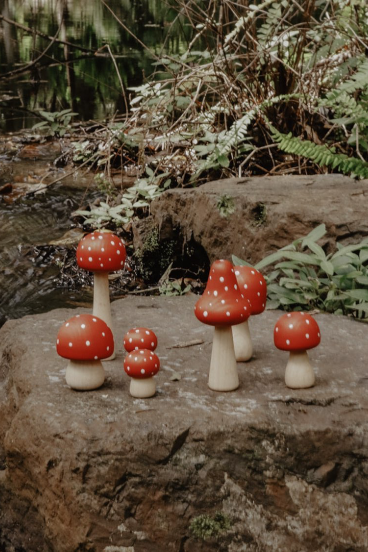 Miniature Fairy Garden Terrarium Wooden Mushrooms | Red