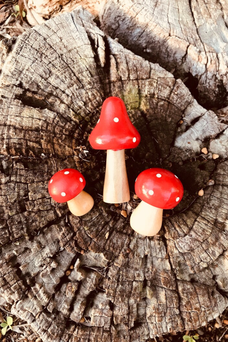 Miniature Fairy Garden Terrarium Wooden Mushrooms | Red