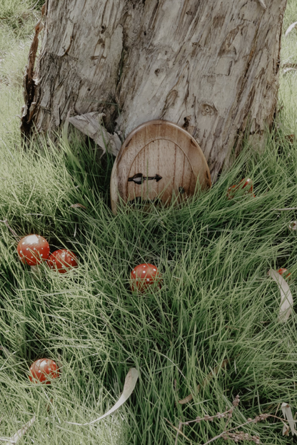 Miniature Fairy Garden Terrarium Wooden Mushrooms | Red