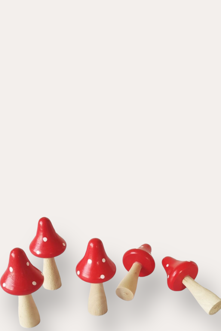 Miniature Fairy Garden Terrarium Wooden Mushrooms | Red